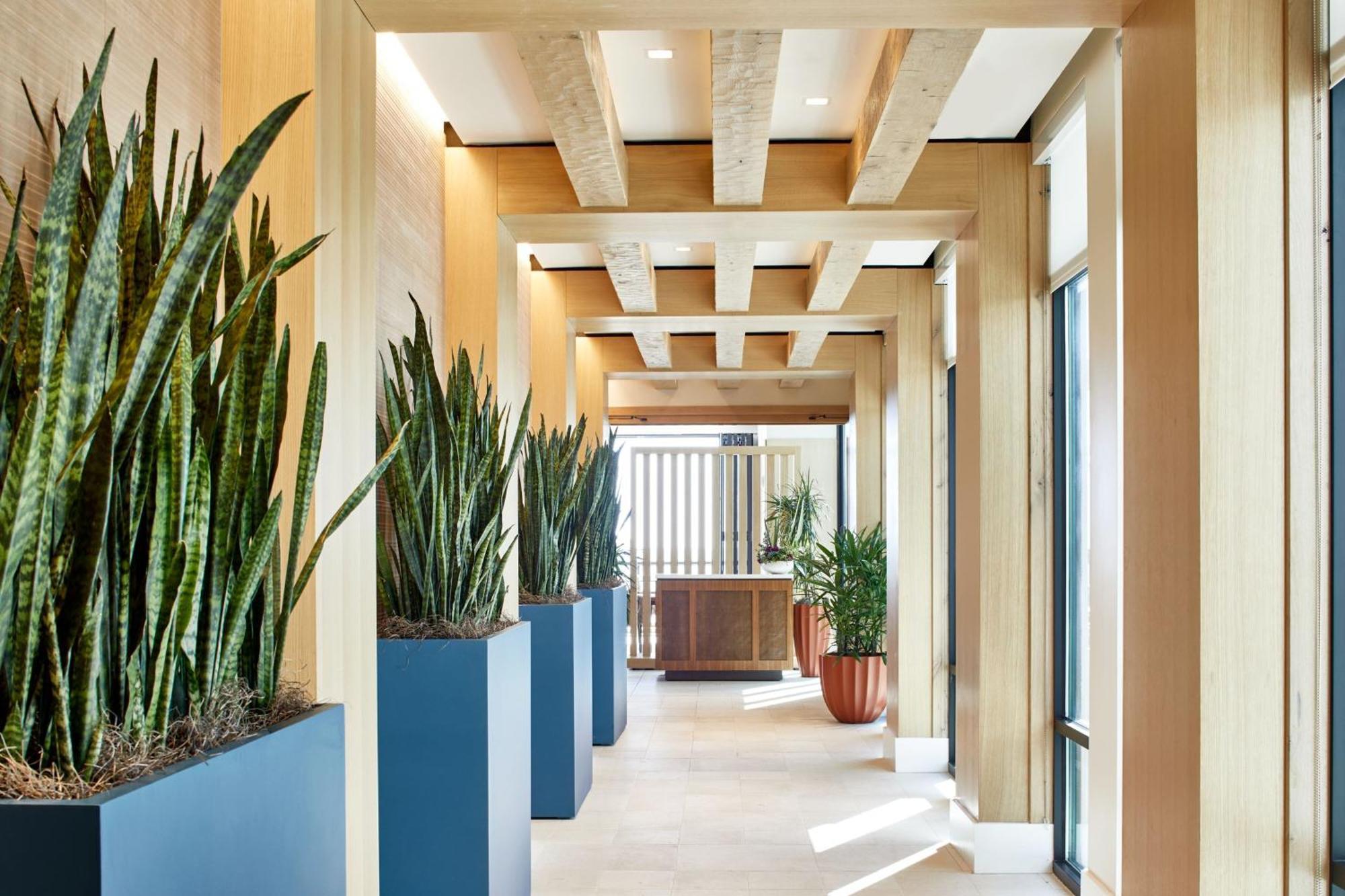 Springhill Suites By Marriott Jacksonville Beach Oceanfront エクステリア 写真